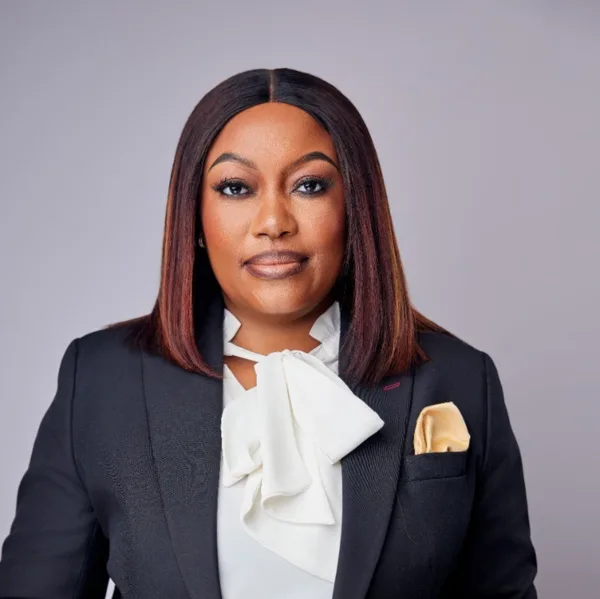 ASFI_Saima Ashipala, Chief Risk Officer – Development Bank of Namibia